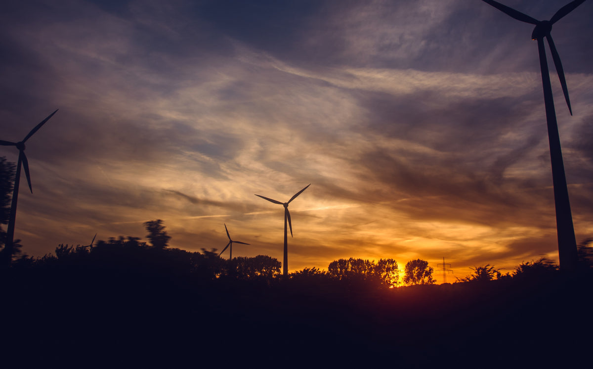 How Do Wind Turbines Survive Severe Storms?