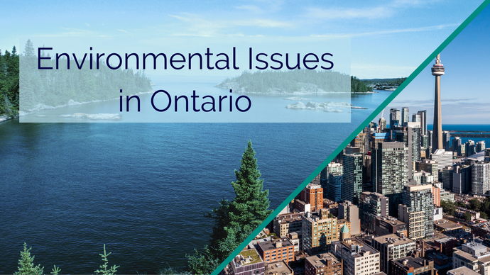 Environmental Issues in Ontario