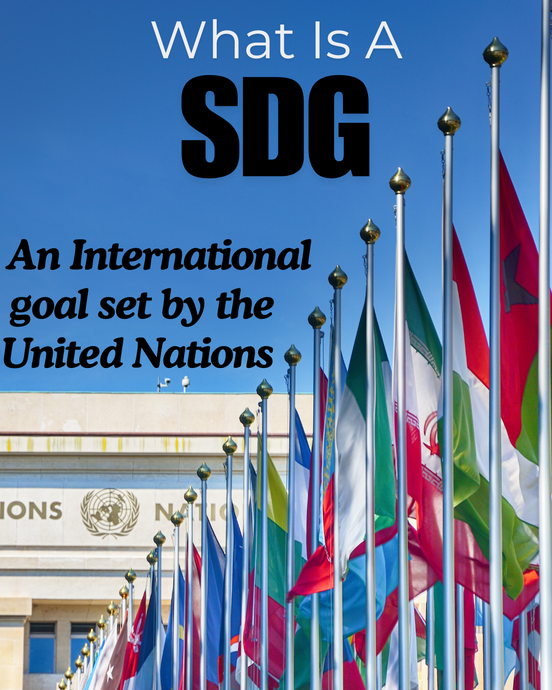 What are SDGs?