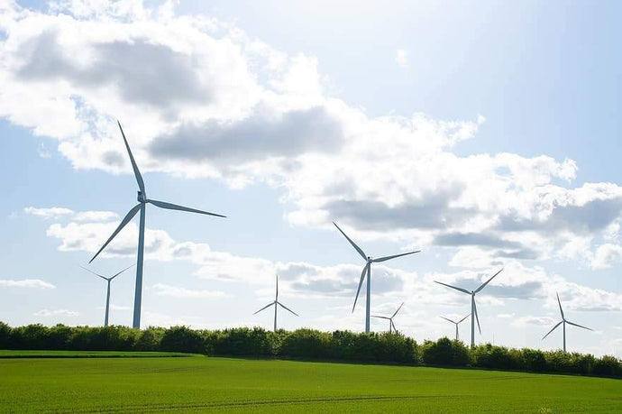 The Pros & Cons of Wind Power