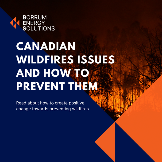 Canadian wildfires issues and how to prevent them
