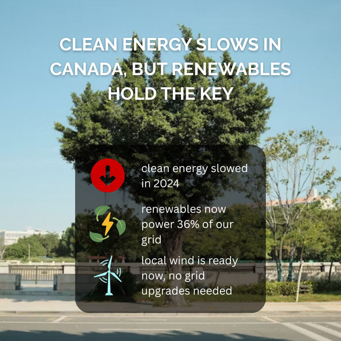 Clean Energy Slows in Canada, but Renewables Hold the Key