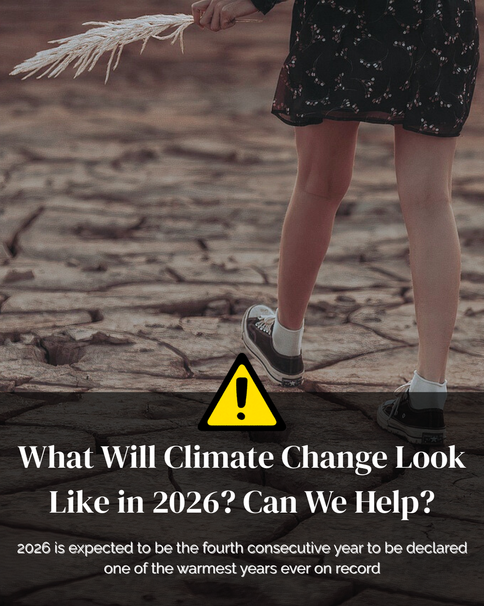 What Will Climate Change Look Like in 2026? Can We Help?