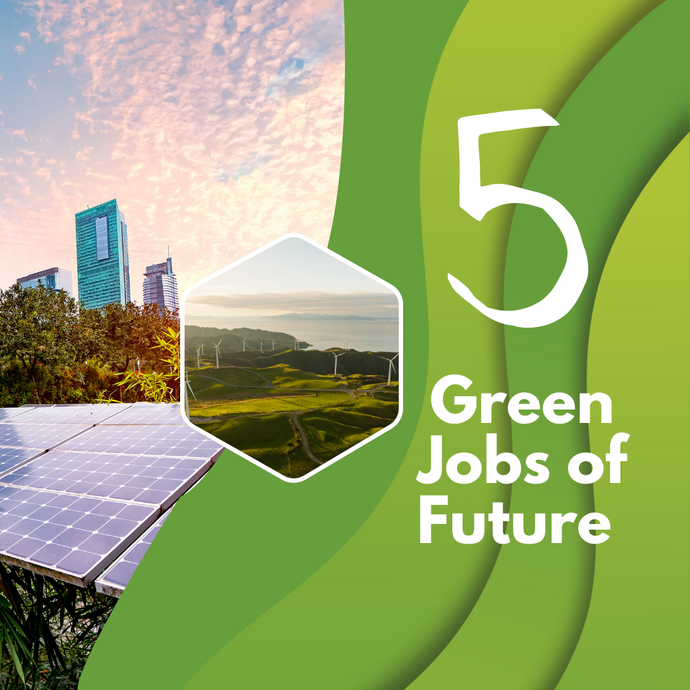 5 Sustainable Jobs of the Future