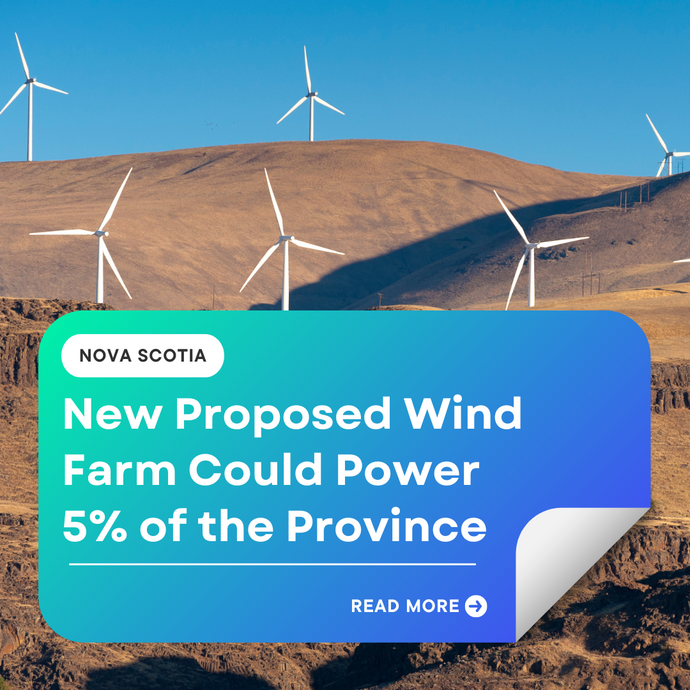 Nova Scotia's New Proposed Wind Farm Could Power 5% of the Province Using Renewable Energy