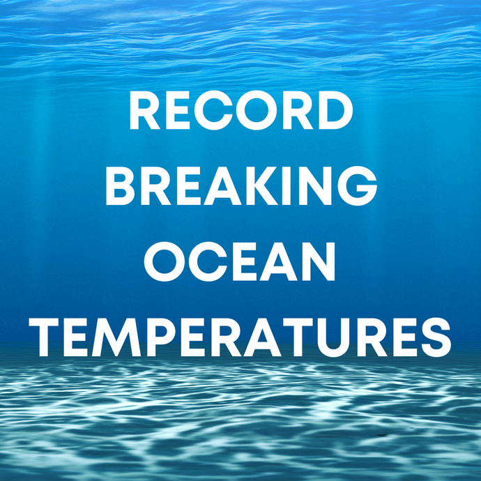 Record Breaking Ocean Temperatures