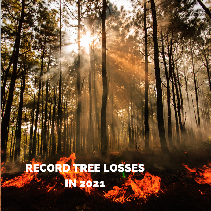 Record Tree Losses in 2021