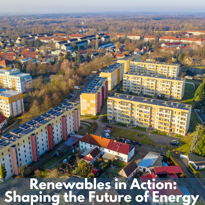 Renewables in Action: Shaping the Future of Energy