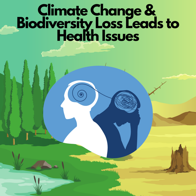 Climate Change and Biodiversity Loss Leads to Health Issues