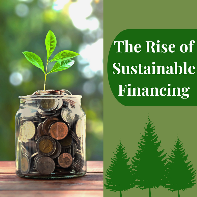 The Rise of Sustainable financing