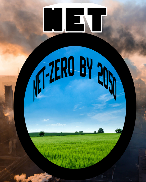 What Does a Net-Zero Future Look Like