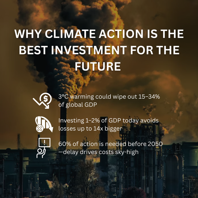 Why Climate Action Is the Best Investment for the Future