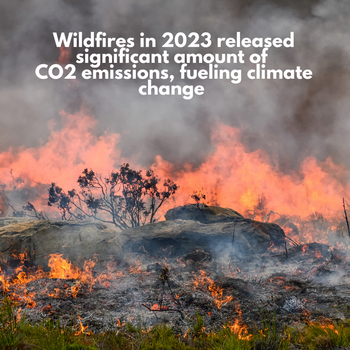 Wildfires in 2023 released significant amount of CO2 emissions, fueling climate change