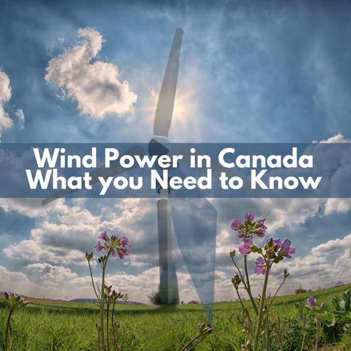 Wind Power in Canada: What you Need to Know