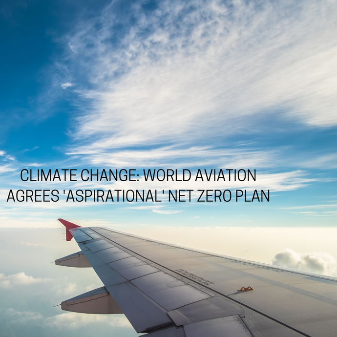 World Aviation Agrees 'Aspirational' Net Zero Plan