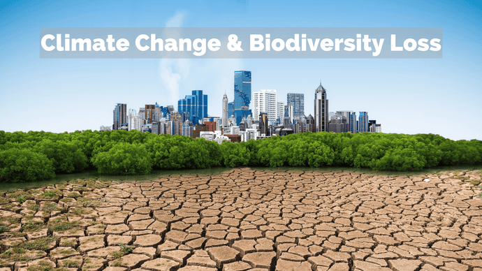 Climate Change & Biodiversity Loss