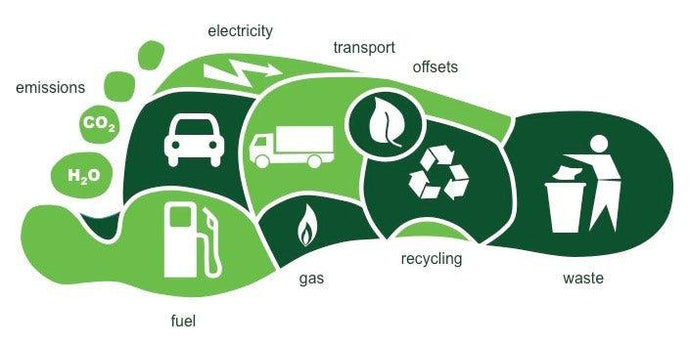 How Can you Reduce your Carbon Footprint?
