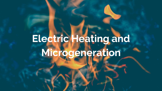 Electric Heating and Microgeneration