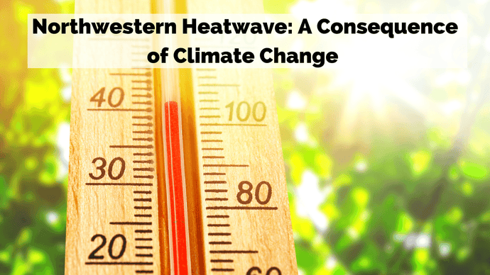 Northwestern Heatwave: A Consequence of Climate Change